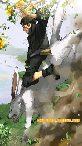 kiba02a.jpg