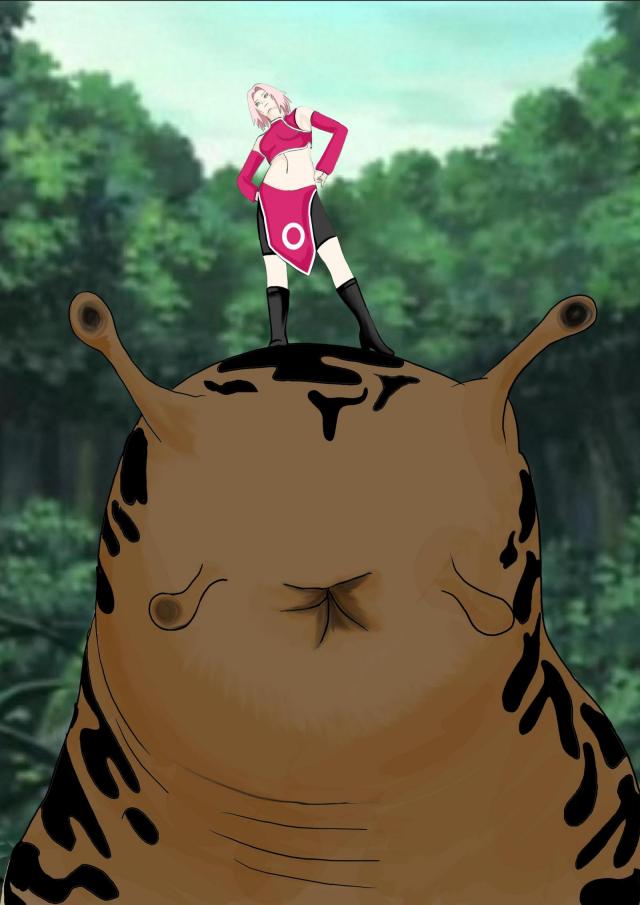 Sakura na slimáčici.jpg