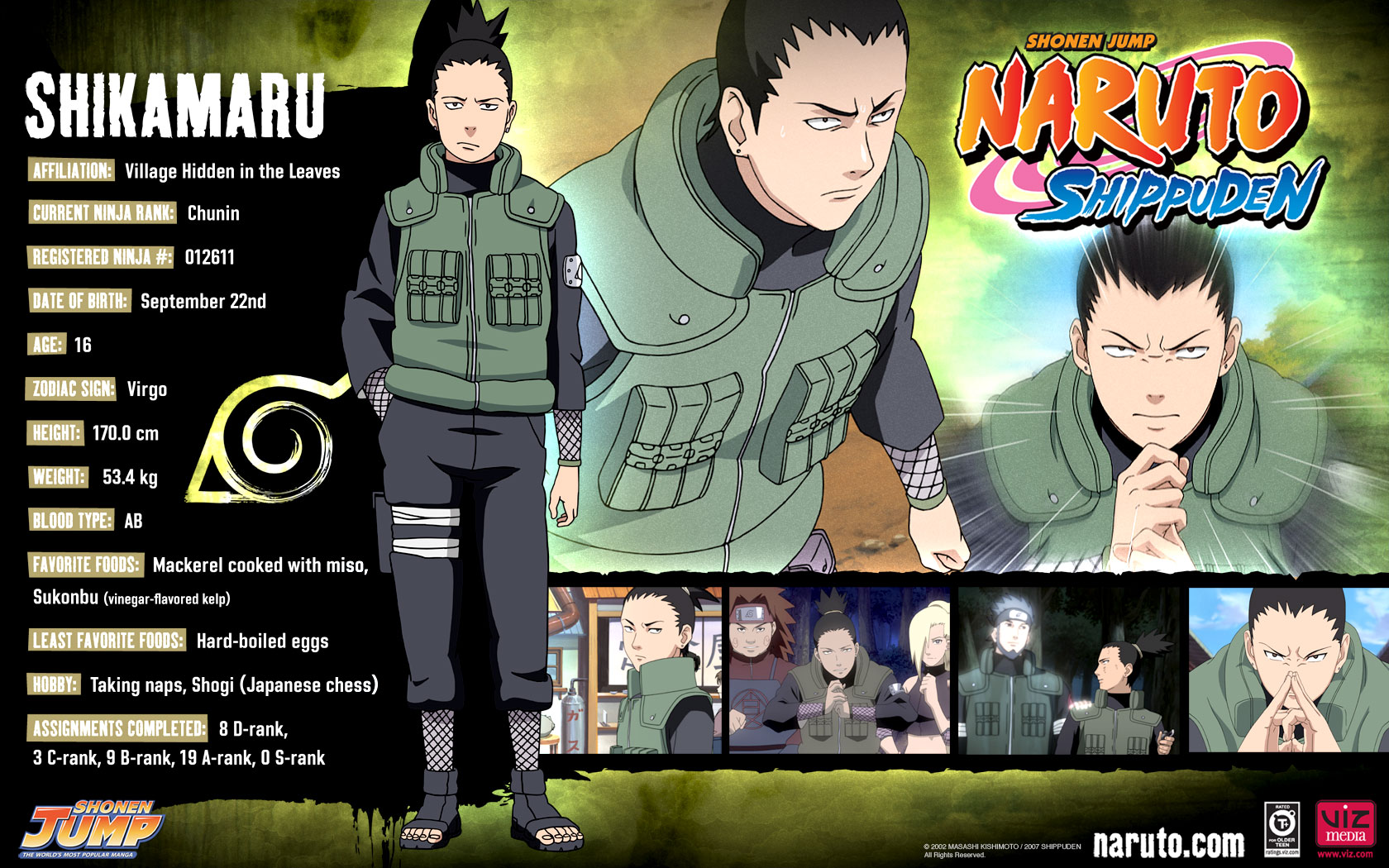 Shikamaru wall.jpg