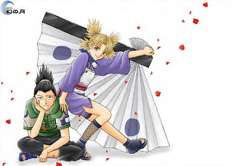 shikatema.jpg