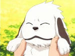 akamaru