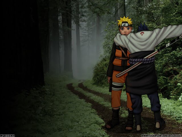 Reunion in Forest.jpg